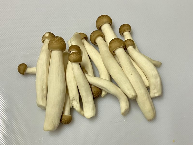 まな板の黒ずみは傷の中にあります｜プラスチックは漂白剤を密着、木には使わない【クリンネスト1級】（イメージ写真）